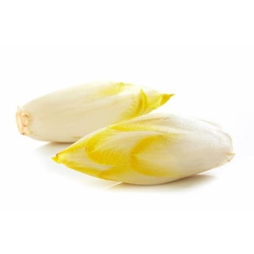 FRISCO FRESH Cykoria żółta