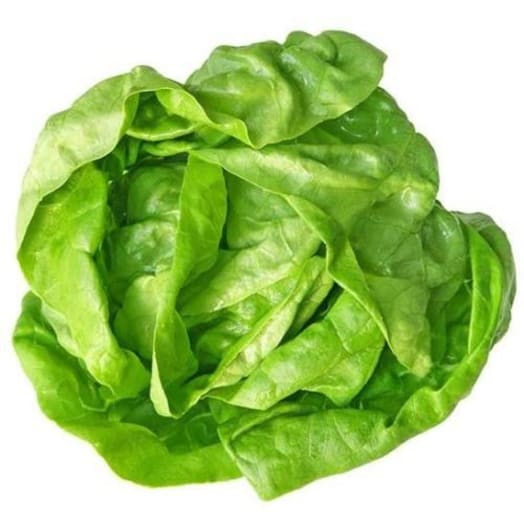 FRISCO FRESH Sałata masłowa