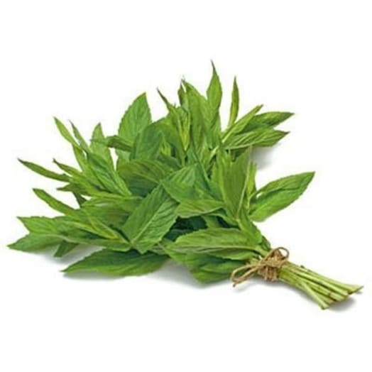 FRISCO FRESH Mięta - świeża cięta