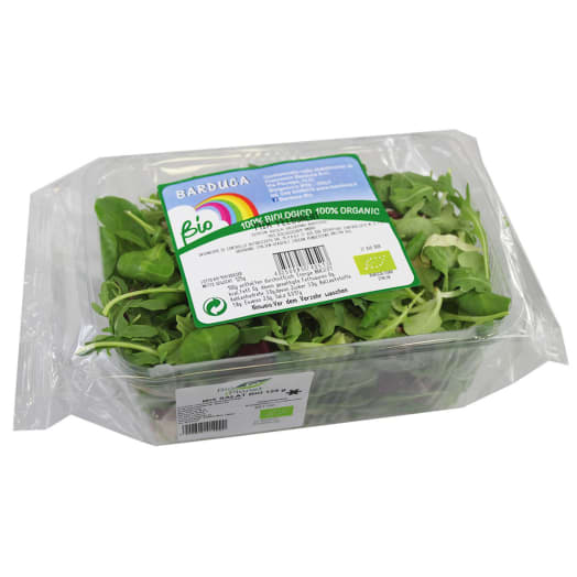 FRISCO ORGANIC Mix świeżych sałat BIO