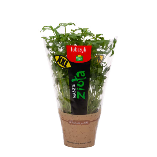 POKARM ŻYCIA Lubczyk XL